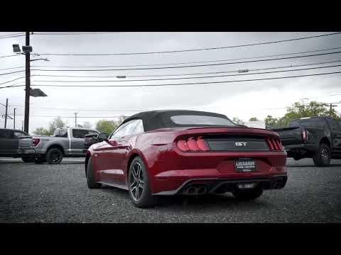 Slow-motion Mustang reel